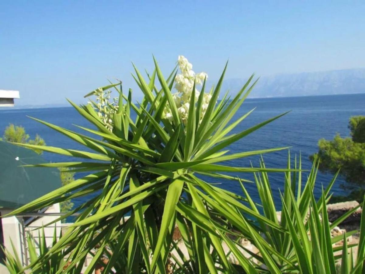 Holiday House Jakov Gdinj Екстериор снимка