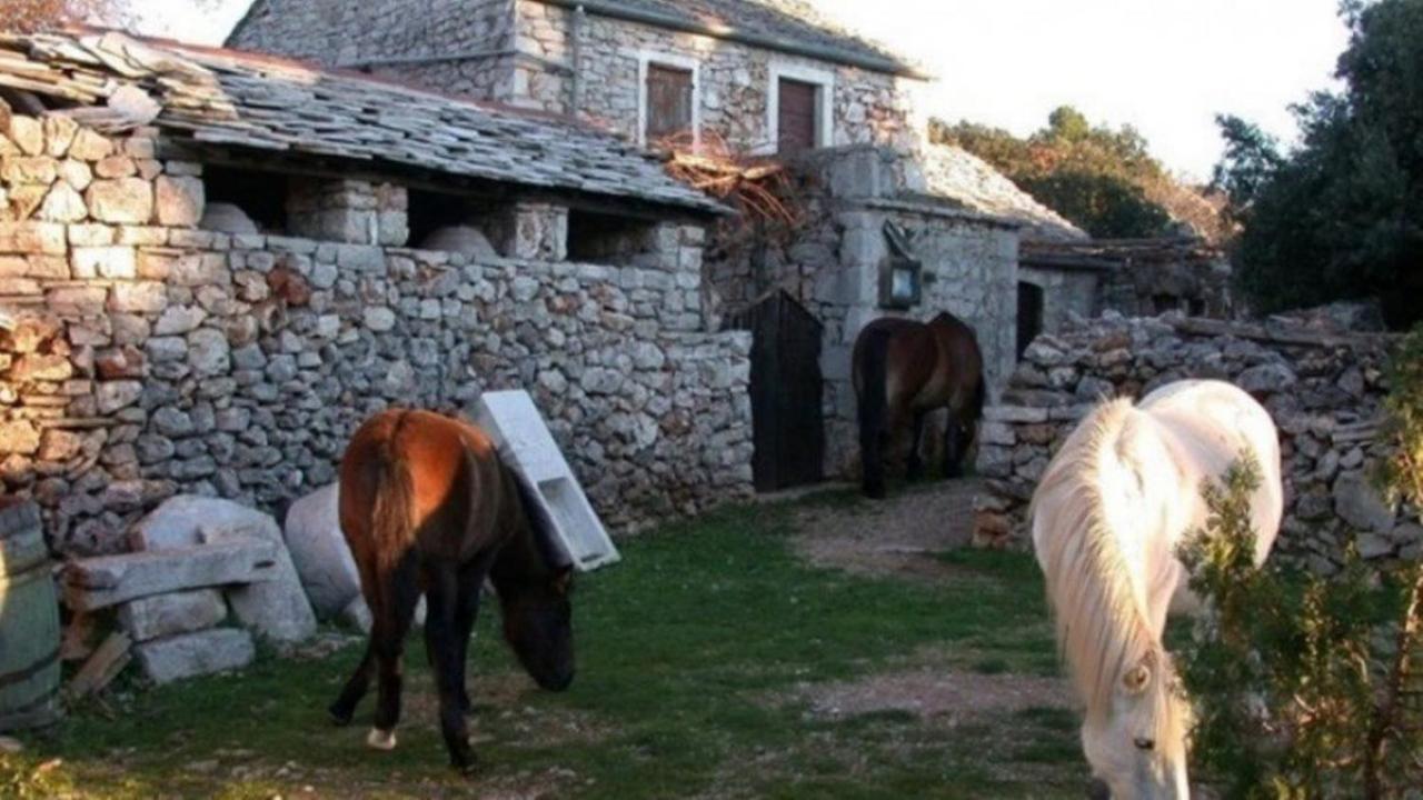 Holiday House Jakov Gdinj Екстериор снимка